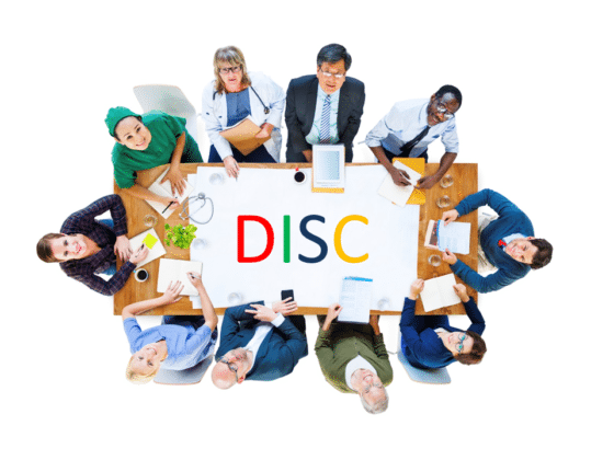 DISC and team building