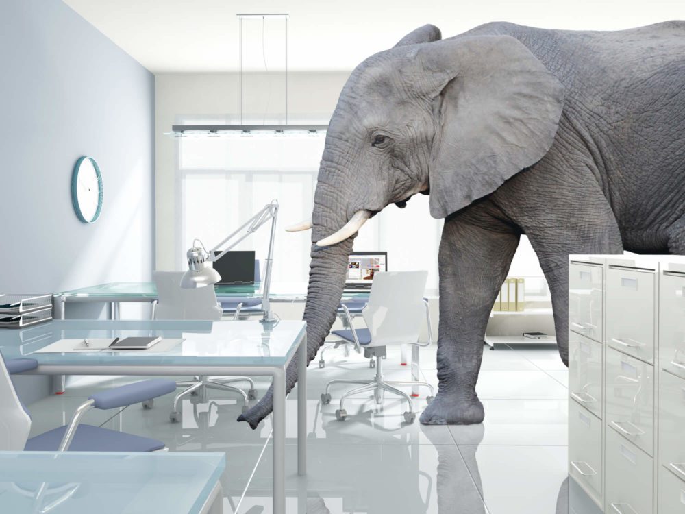 Depositphotos_15816421_l-2015 (1) elephant in the room, VUCA, Ira S Wolfe